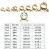 YNEGSDE Spring Hose Clamps 65Mn Steel 8 Sizes 160pcs Kit-1