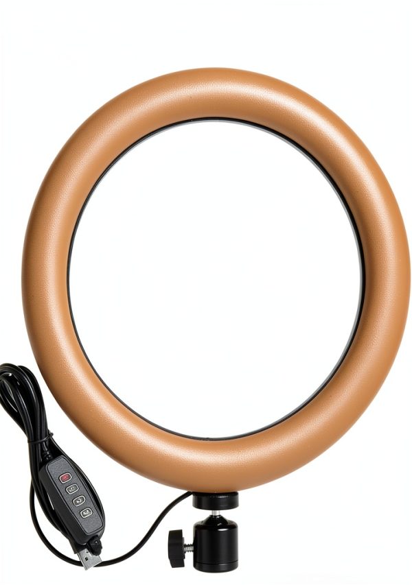 Acetaken Webcam Stand with 10" Ring Light and Magnetic Mount-2